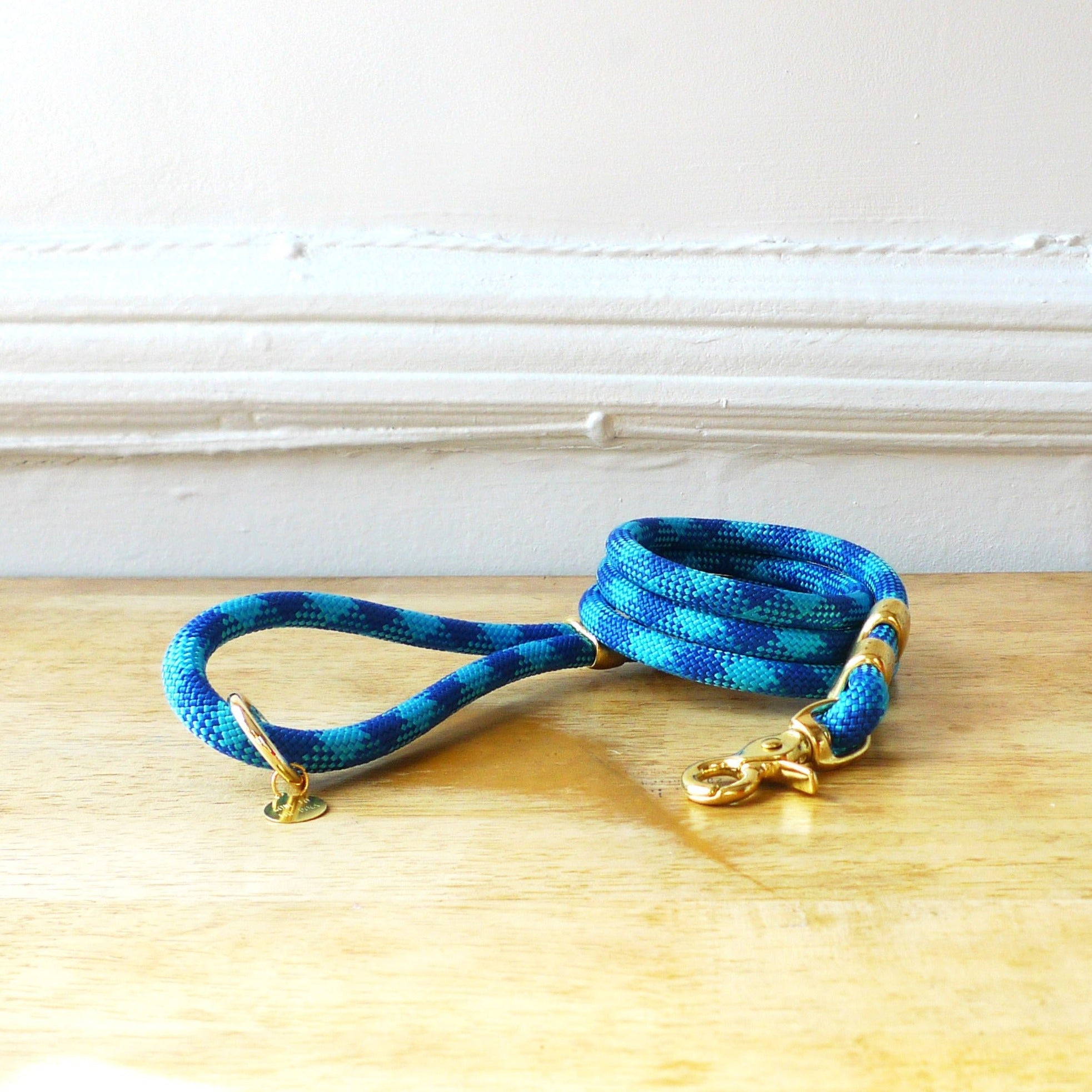 Fuji Rope Leash - Aqua