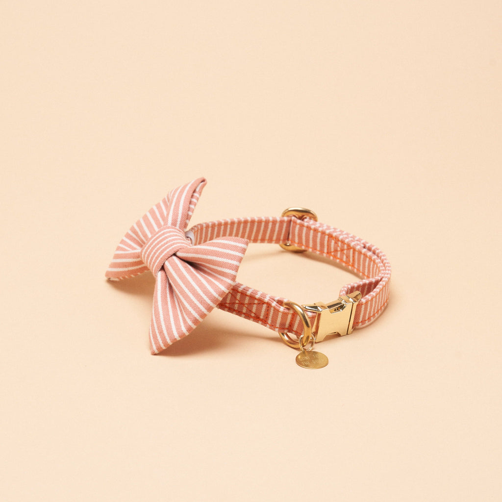 Bailey Bowtie Collar - Peach Stripe